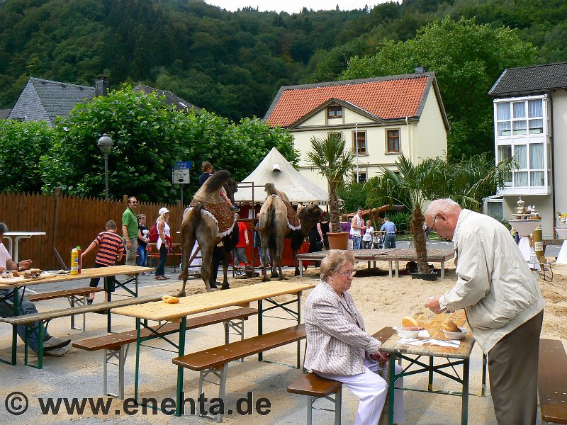 Mittelaltermark_Altena_2011 (174).jpg